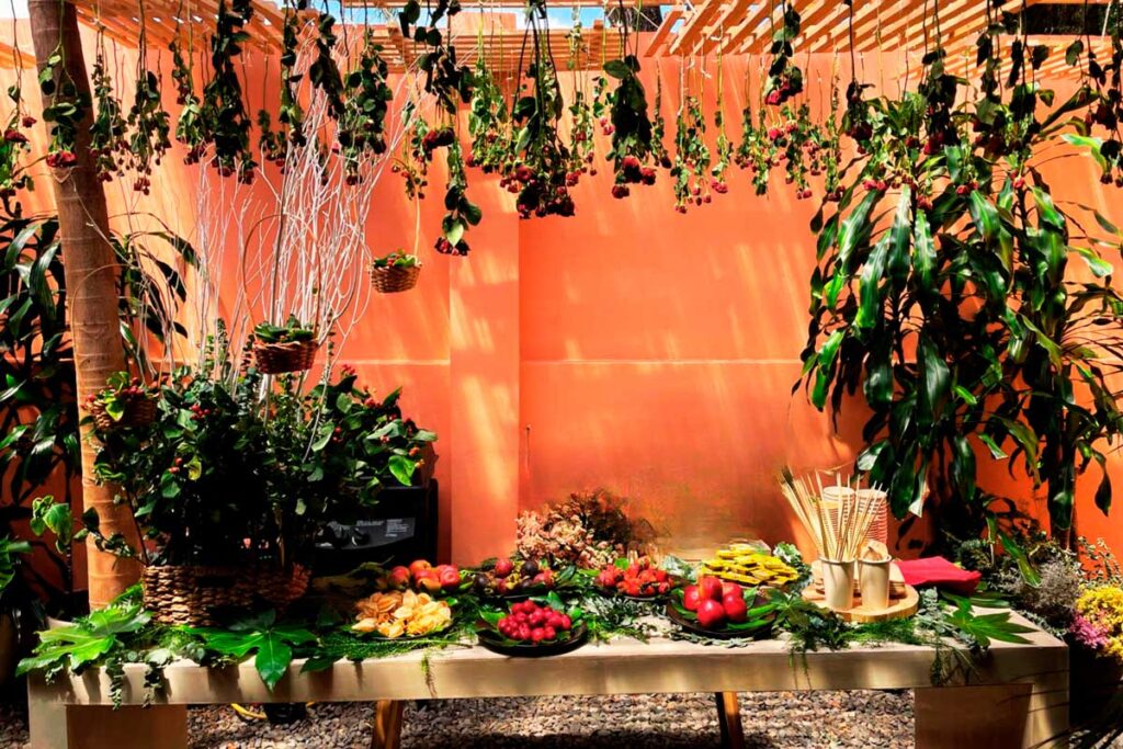 Bayi retreat, un spa para la desconexión total en quinta camacho