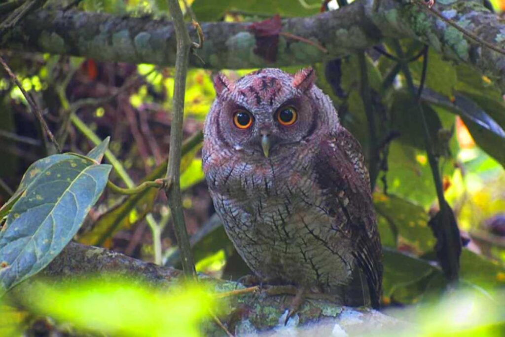 La florida, uno de los pueblos más hermosos de colombia