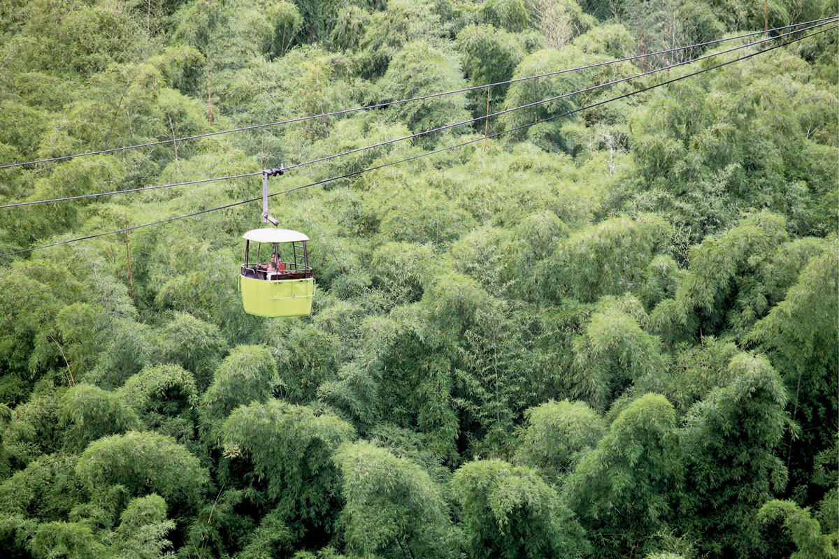 Un viaje por los senderos del café en colombia Un viaje por los senderos del café en colombia