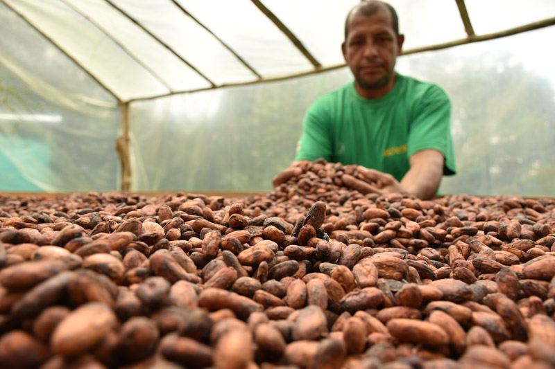 ¿por qué las esmeraldas de colombia son las mejores del mundo? ¿por qué las esmeraldas de colombia son las mejores del mundo?