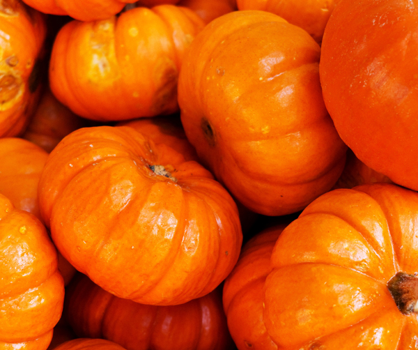 calabazas_600x503