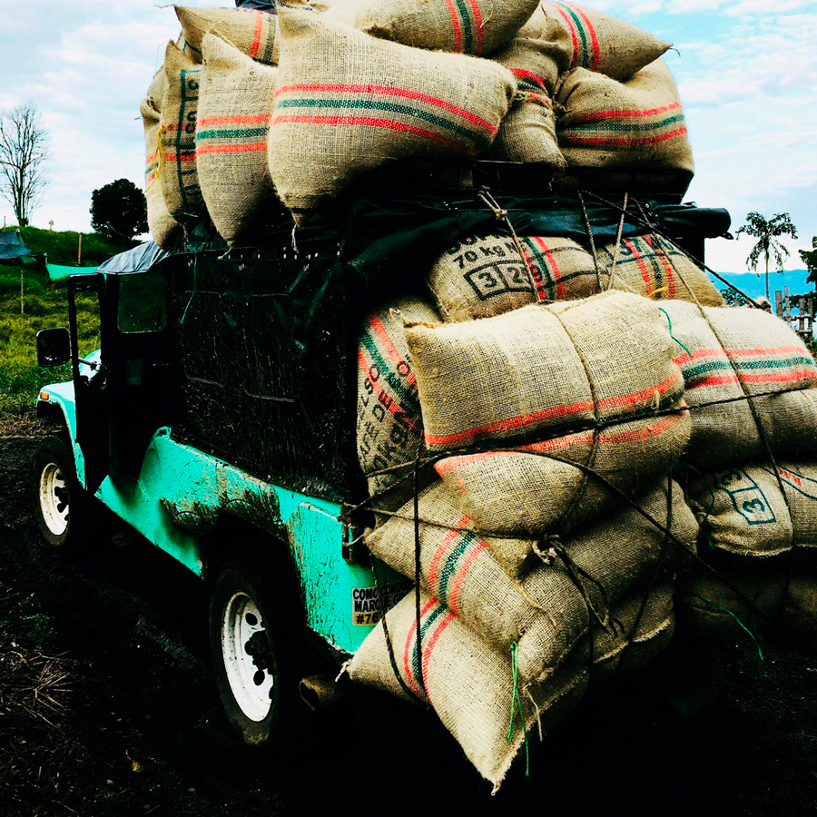 Irrúa, el café excelso de norte de caldas que usted debe probar Carga de café irrúa