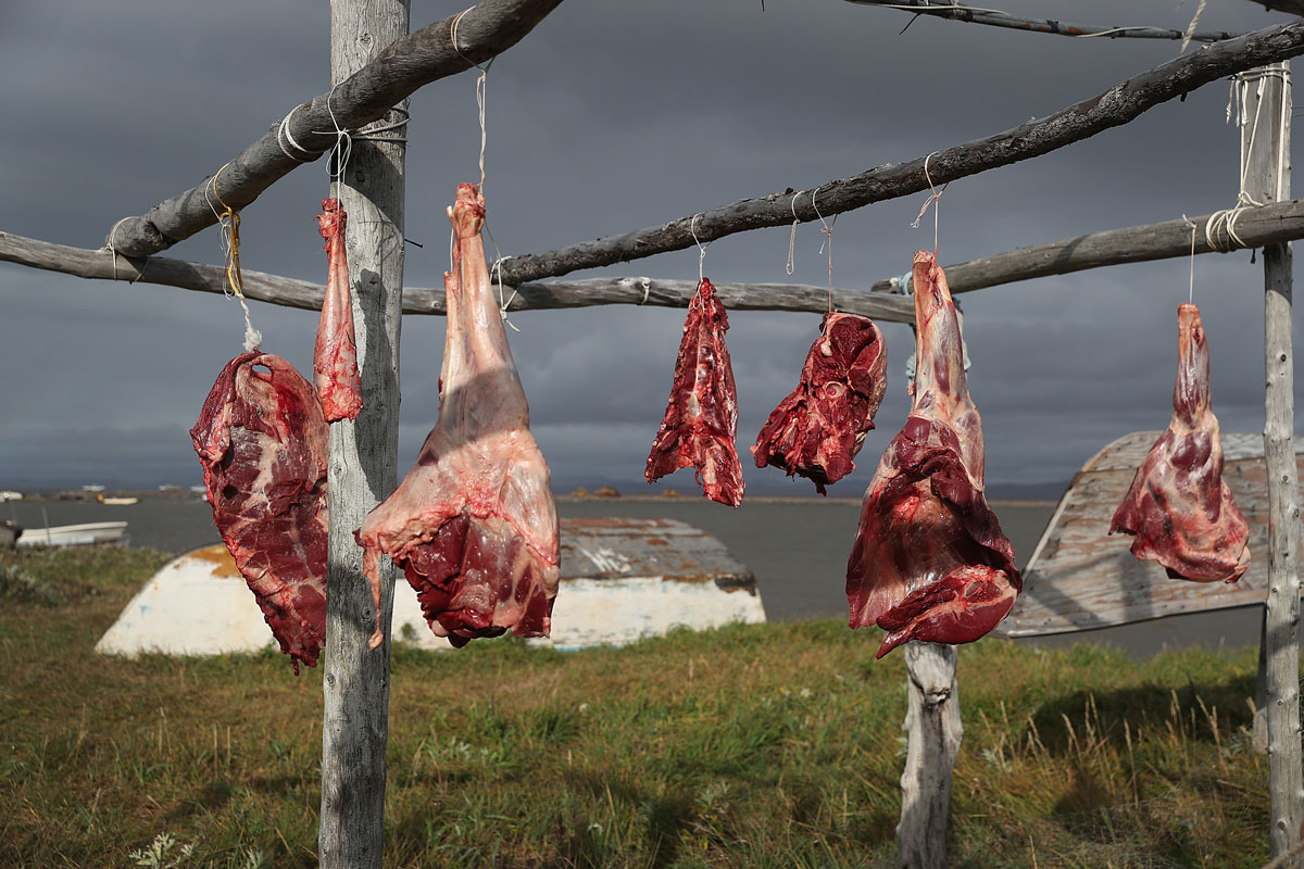 Caza en Alaska, fotografías, cambio climático