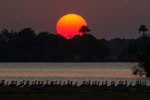 Casanare: 5 planes imperdibles para recorrer la infinita tierra plana