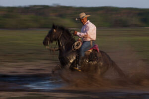 Casanare: 5 planes imperdibles para recorrer la infinita tierra plana