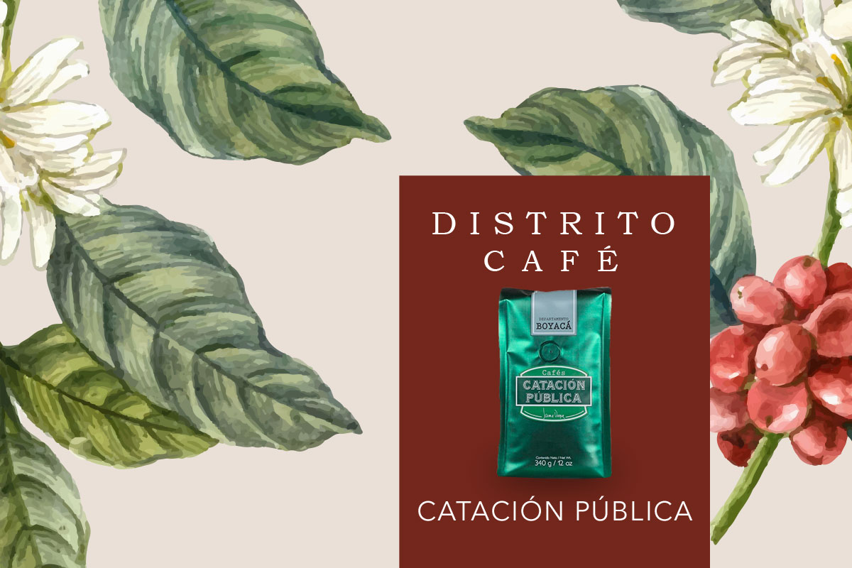 Distrito Café, Catación Pública