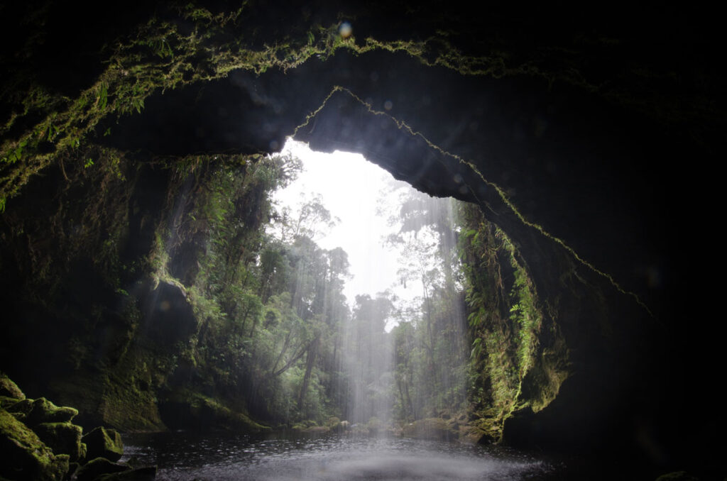caverna del águila Colombia