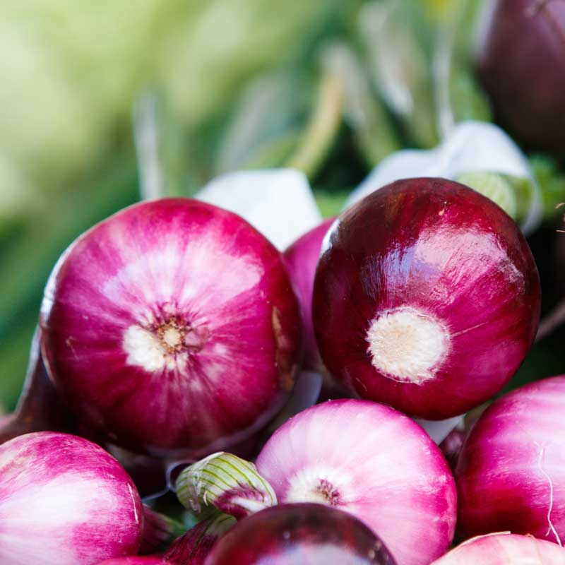 analgésicos naturales, cebolla morada