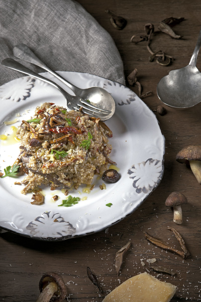 hongos para probar en casa