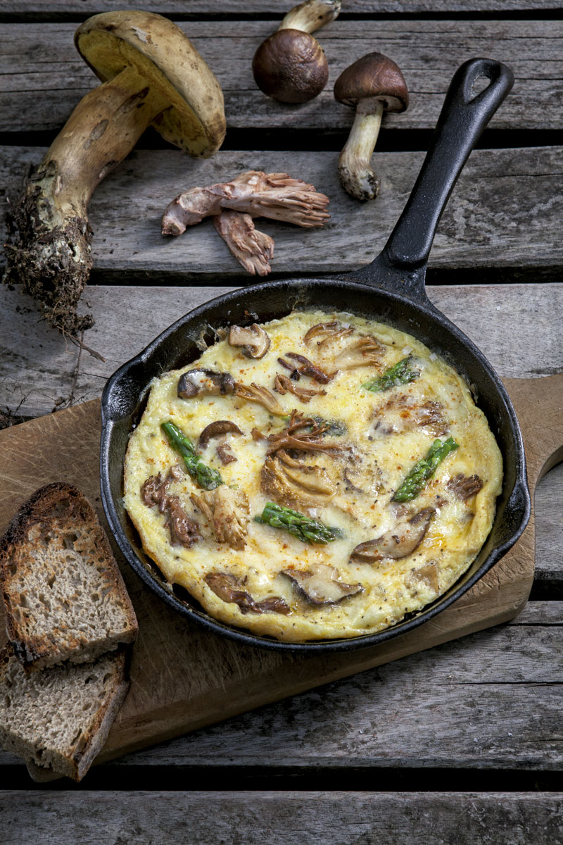 hongos para probar en casa