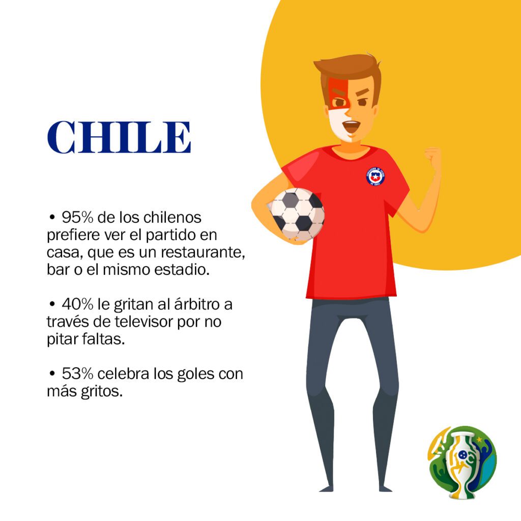 Así vivieron los hinchas la copa américa