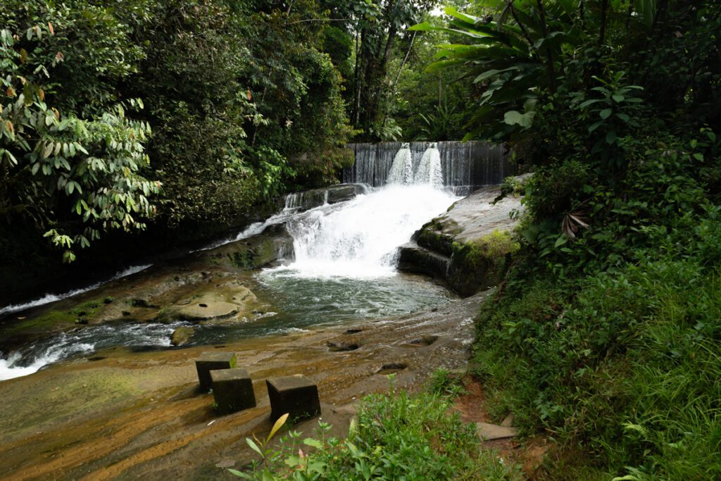 Quibdó: la ruta gastronómica y cultural en el corazón del chocó