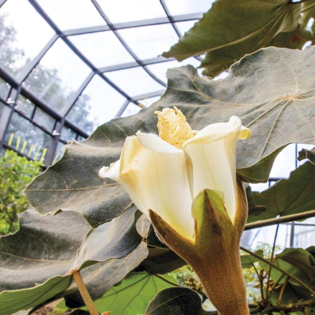 El tropicario más grande de sudamérica está en bogotá