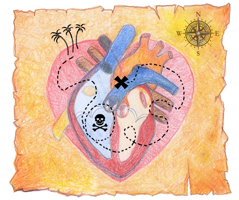 La neurociencia del amor