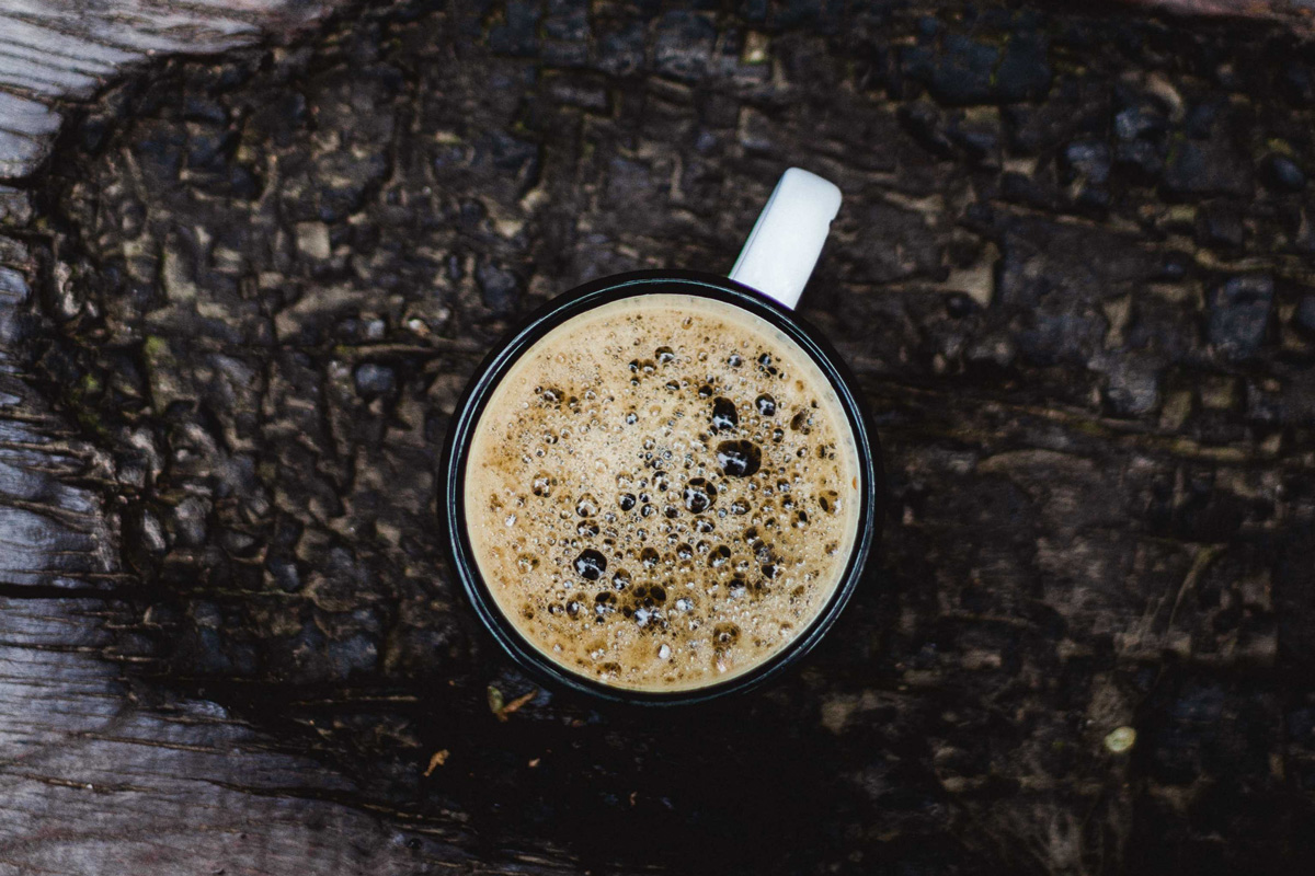 Troncos con borra de café