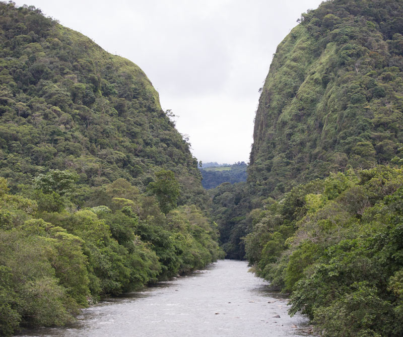 Colombia: ¿Bandera blanca para la madre tierra?