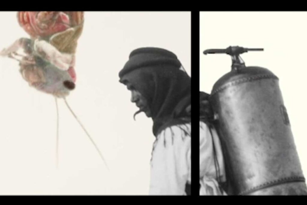 La historia detrás de ‘catástrofe’, exposición del artista dor guez en el mambo La historia detrás de ‘catástrofe’, exposición del artista dor guez en el mambo