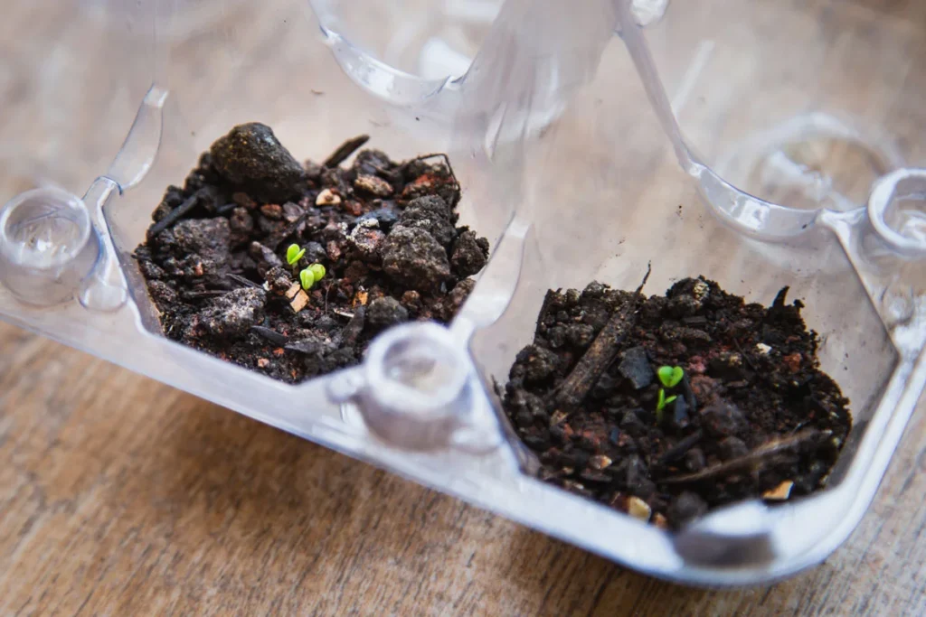 Guía para hacer su propio compost en casa Guía para hacer su propio compost en casa