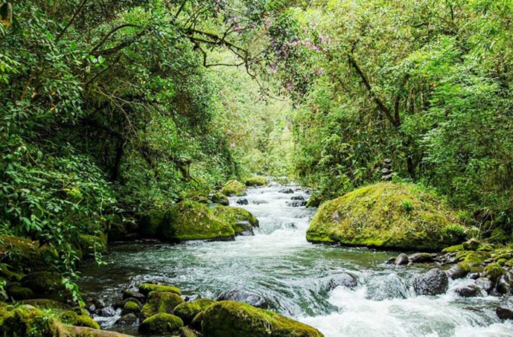 La florida, uno de los pueblos más hermosos de colombia