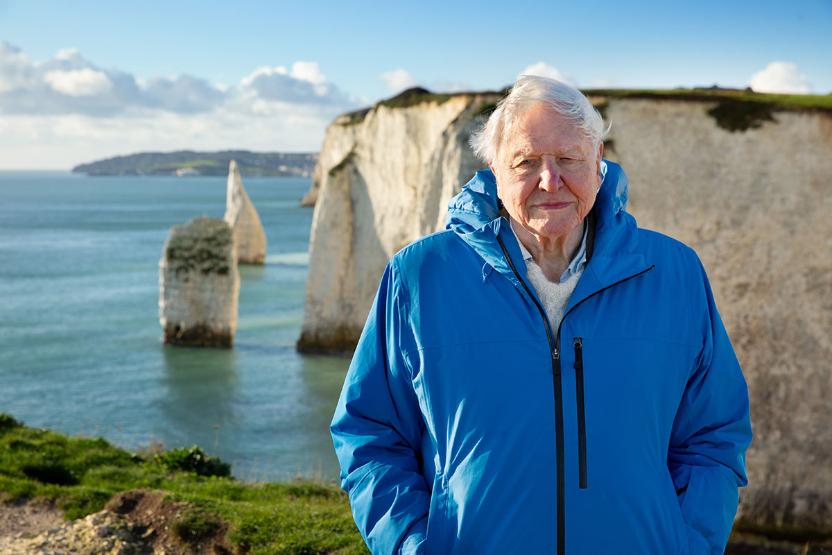 Océanos David Attenborough