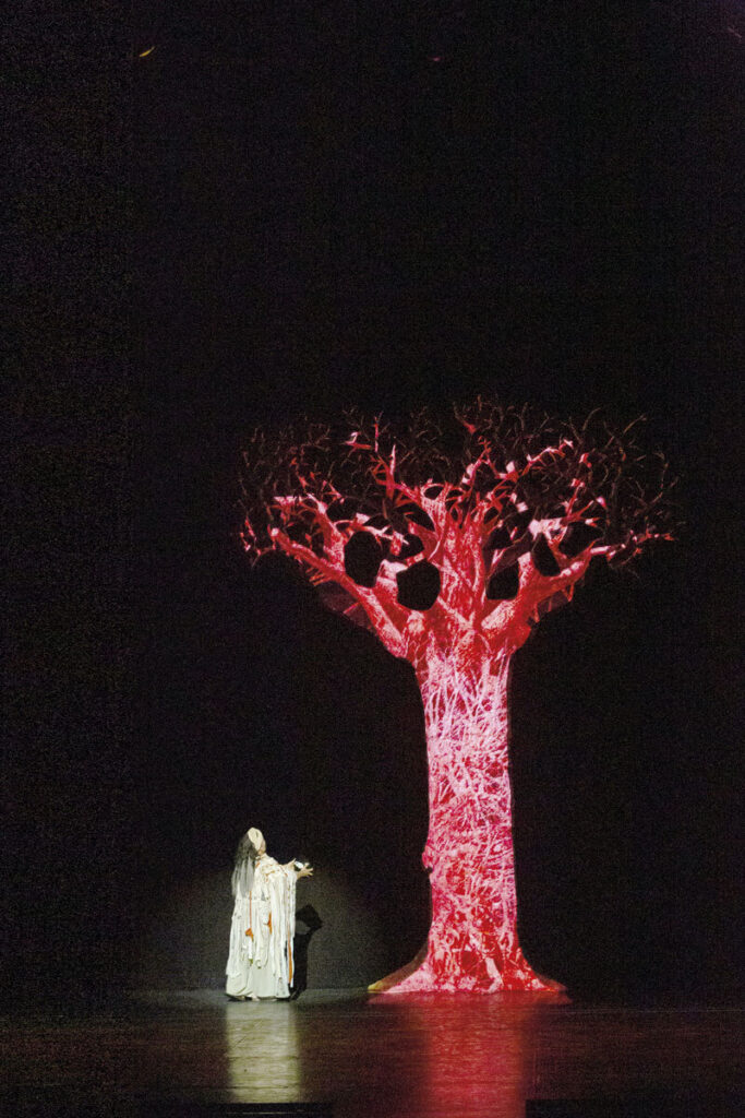 Festival iberoamericano de teatro: una fiesta necesaria