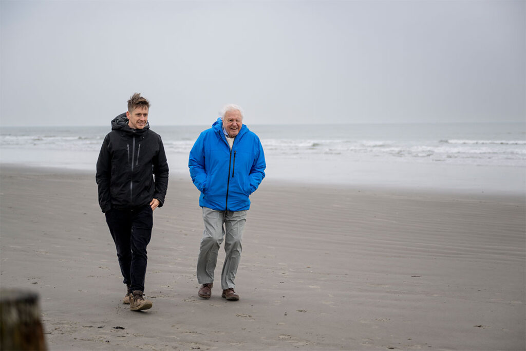 Océanos David Attenborough