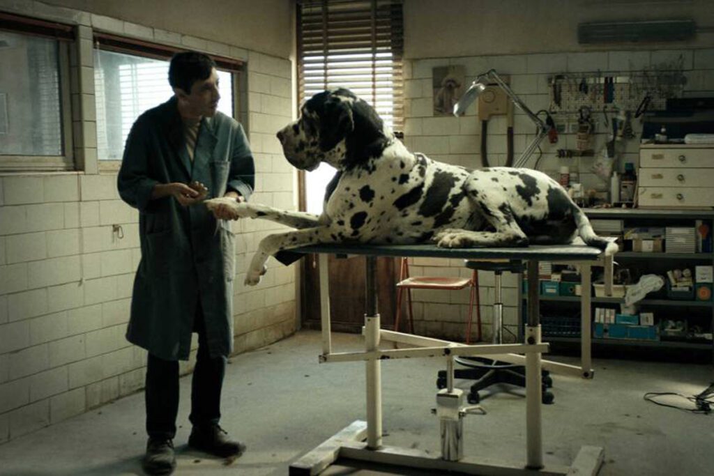 Dogman, una película italiana que no se puede perder Dogman película italiana