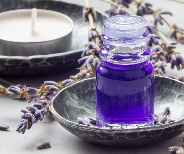 La revolución del sueño