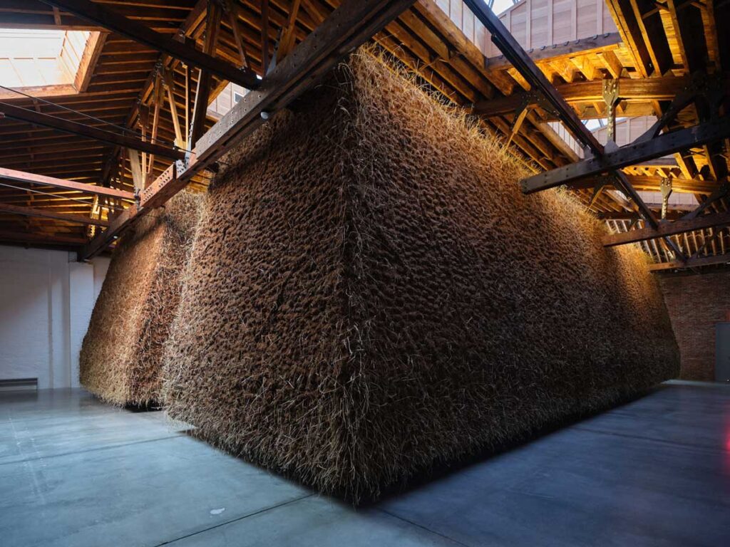 El abrazo delcy morelos