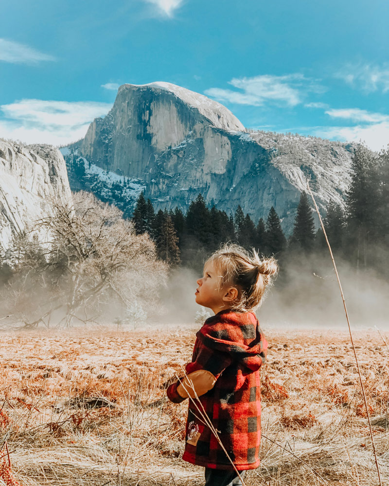 Estas son las mejores fotos tomadas con iphone