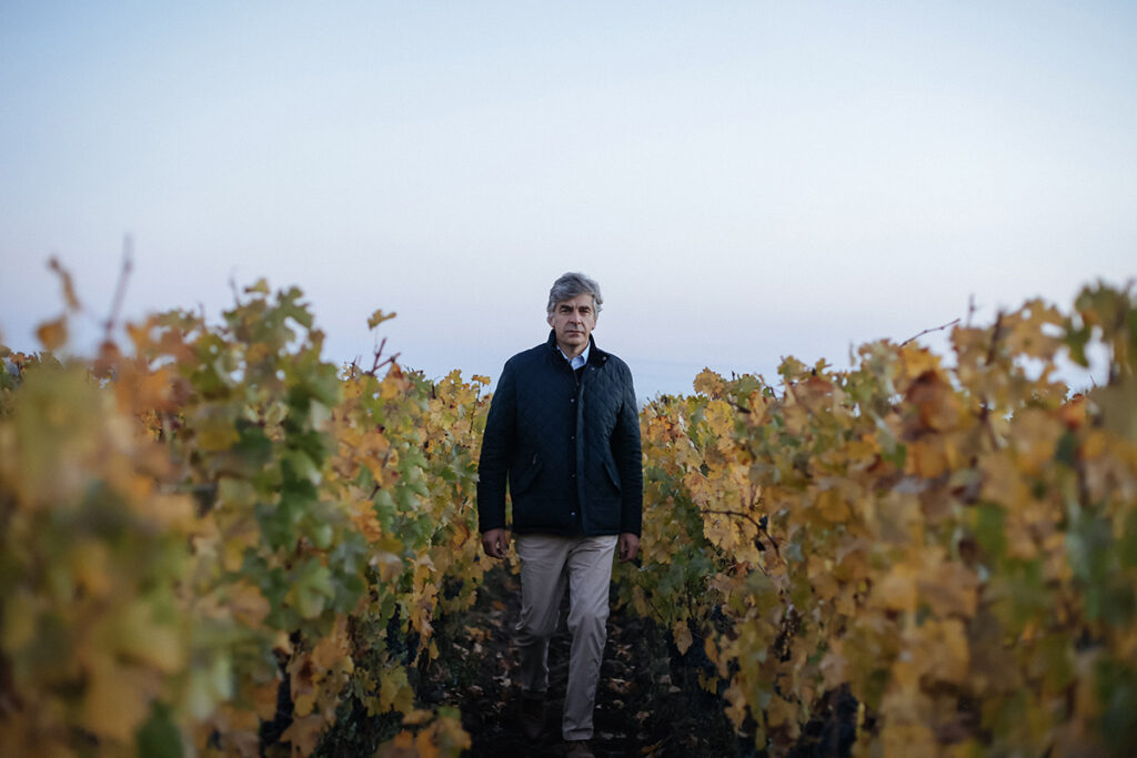 Don Melchor, vino, El Puente, chile, Enrique Tirado
