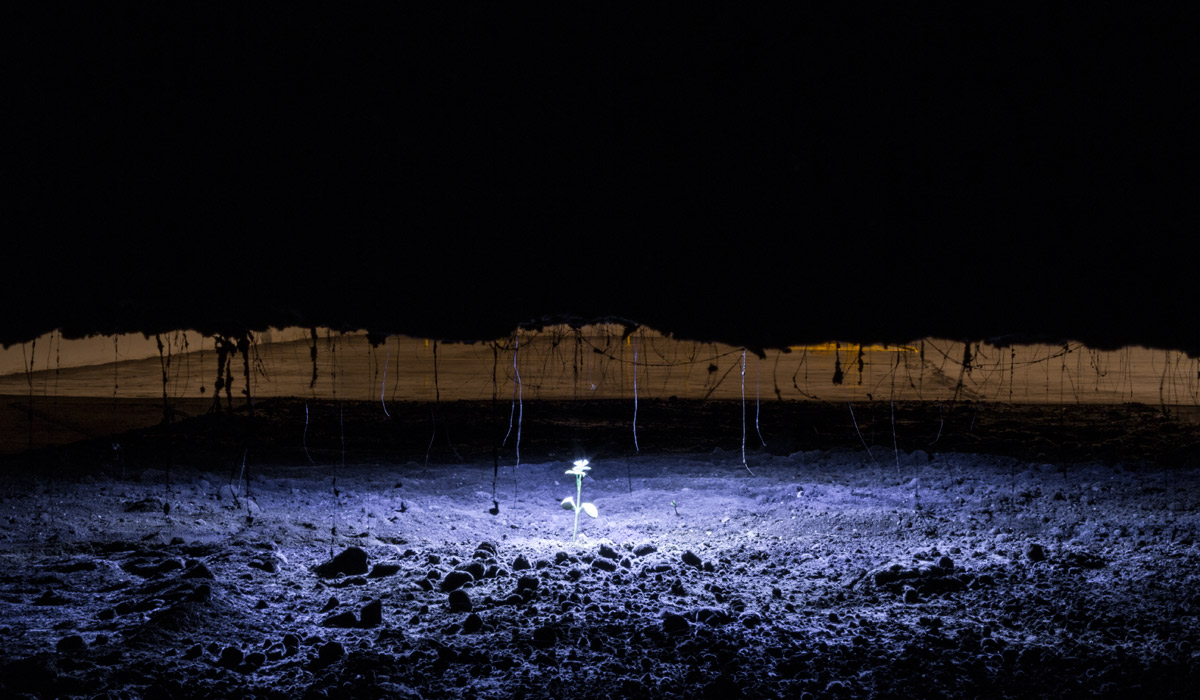 Entre_bahareque_1200x700