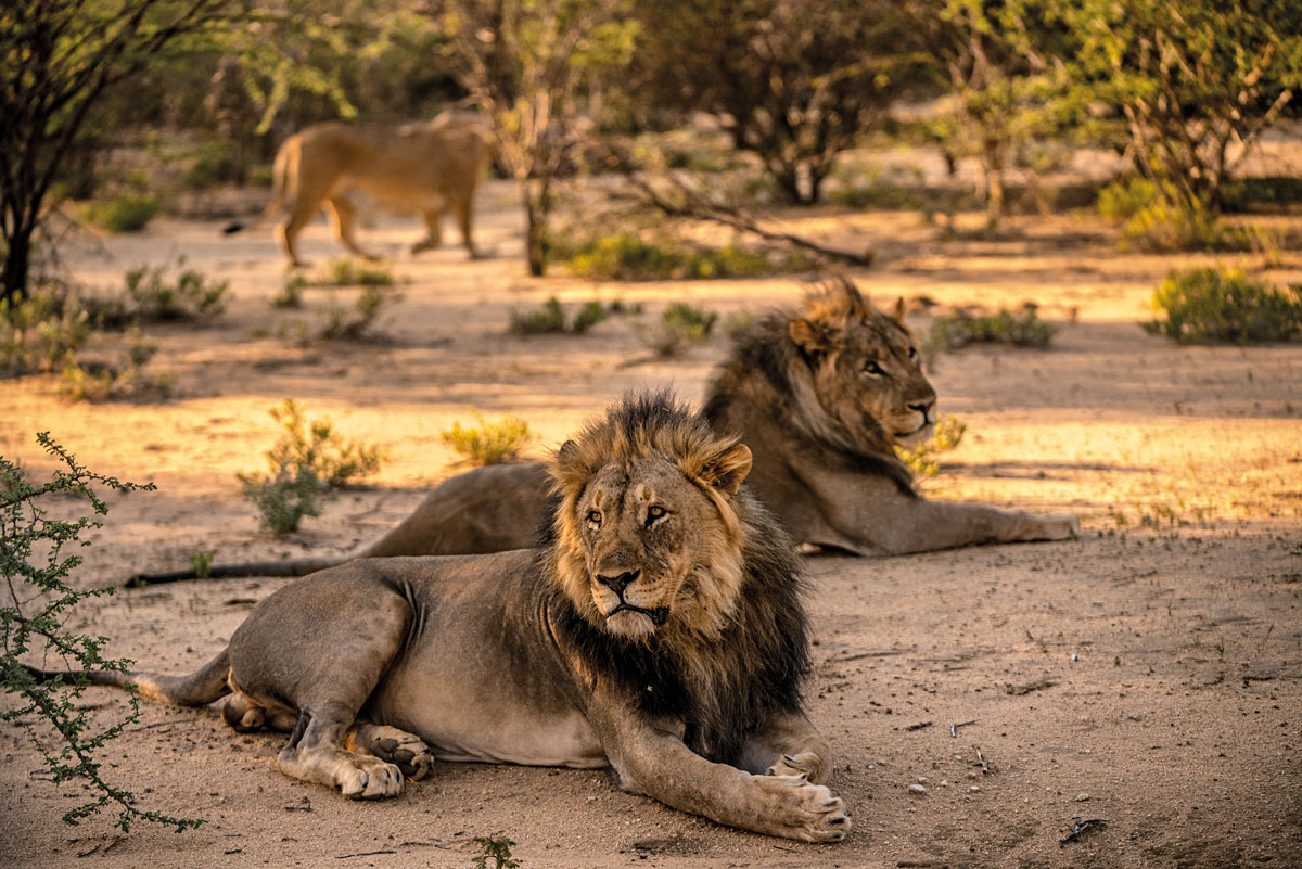 Esteban toro, fotógrafo colombiano