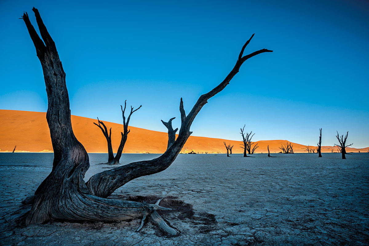 fotógrafo colombiano