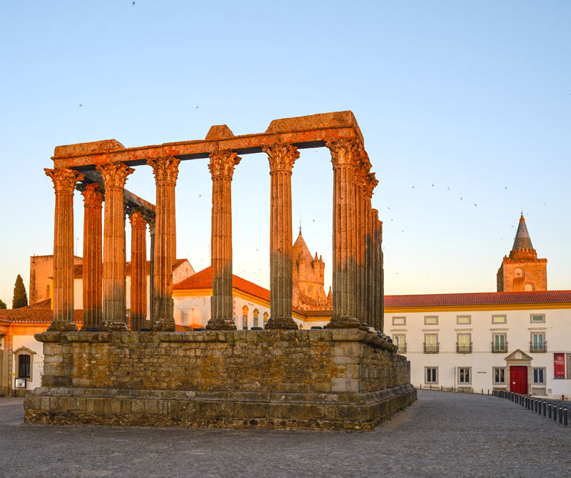 Quiz: ¿qué tan bien conoce a harry potter?