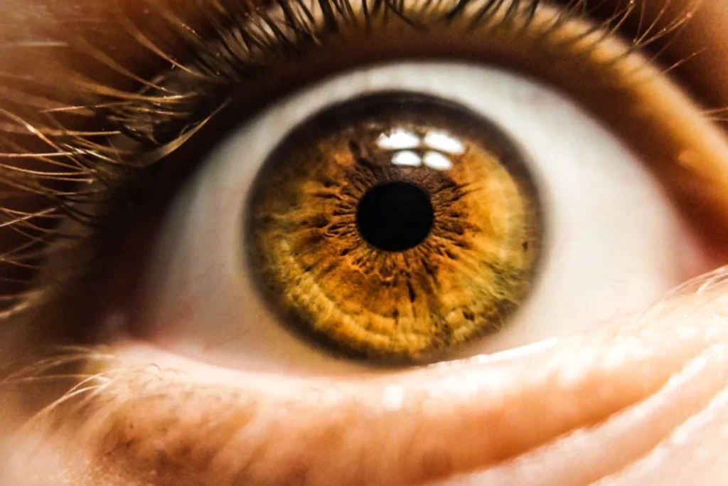 Cuidado de los ojos, facebook