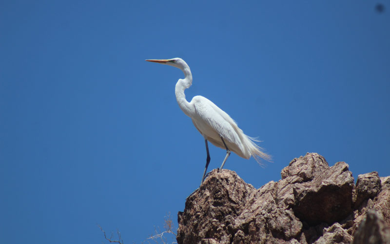 Guía para redescubrir las vegas