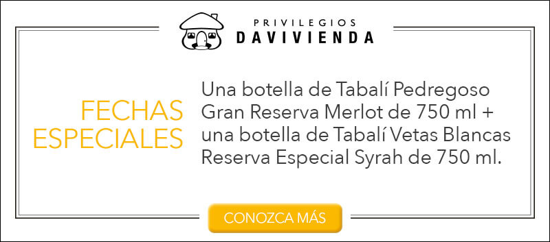 6 vinos chilenos y argentinos para cada ocasión