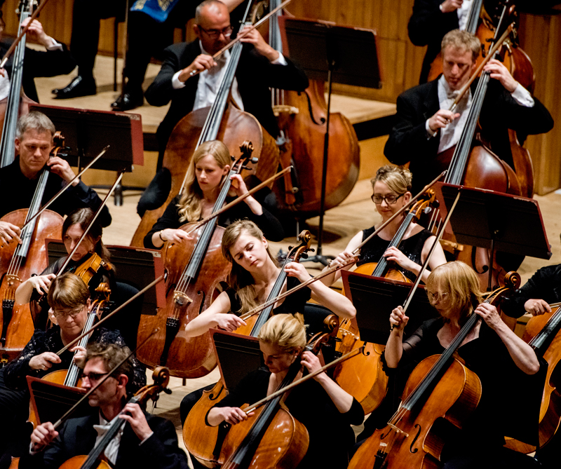 La armonía, los sonidos y la música se reúnen desde hoy en cartagena La armonía, los sonidos y la música se reúnen desde hoy en cartagena