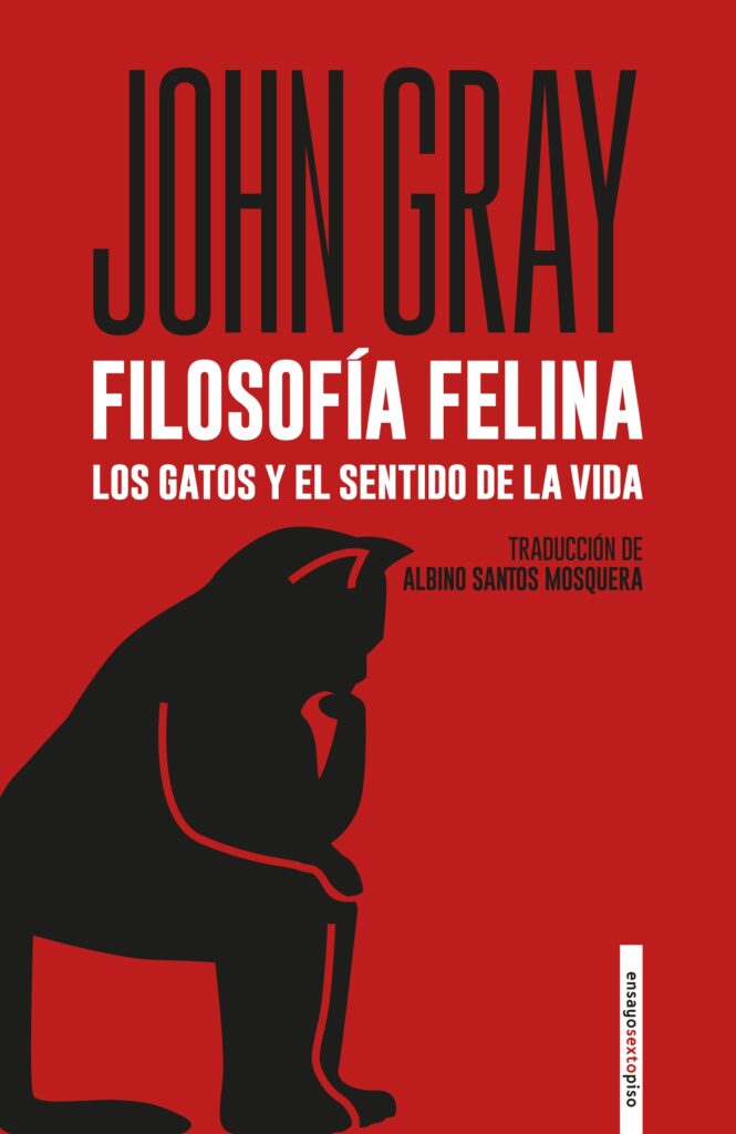 Gatos, Día Internacional del Gato, libro de gatos