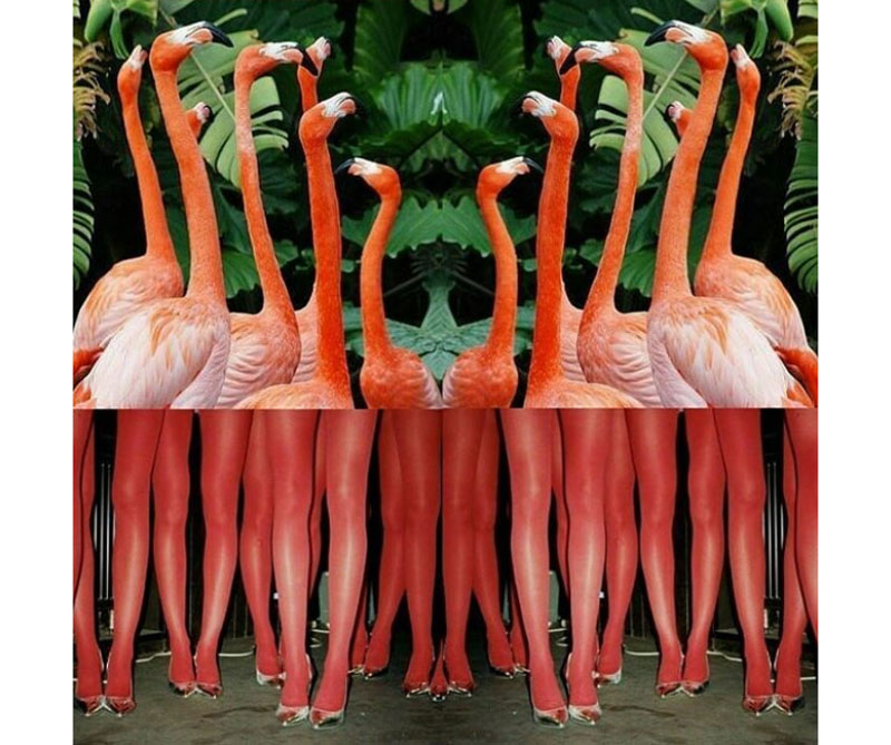 Galería: arte para incomodar a su familiar conservador