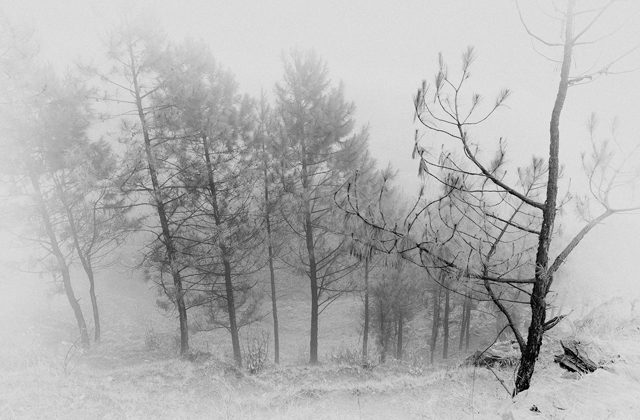 Esta es la mejor fotografía de colombia en 2018