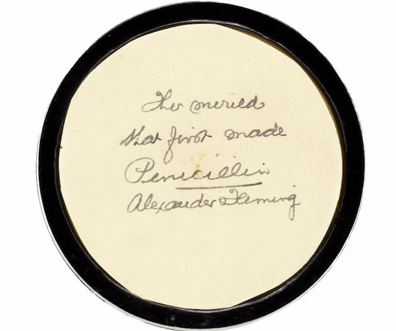 Alguien pagó más de 40 millones de pesos por un plato de moho