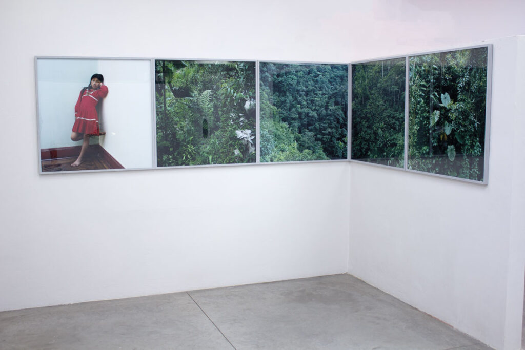 Entre paisajismo y territorio Monte adentro