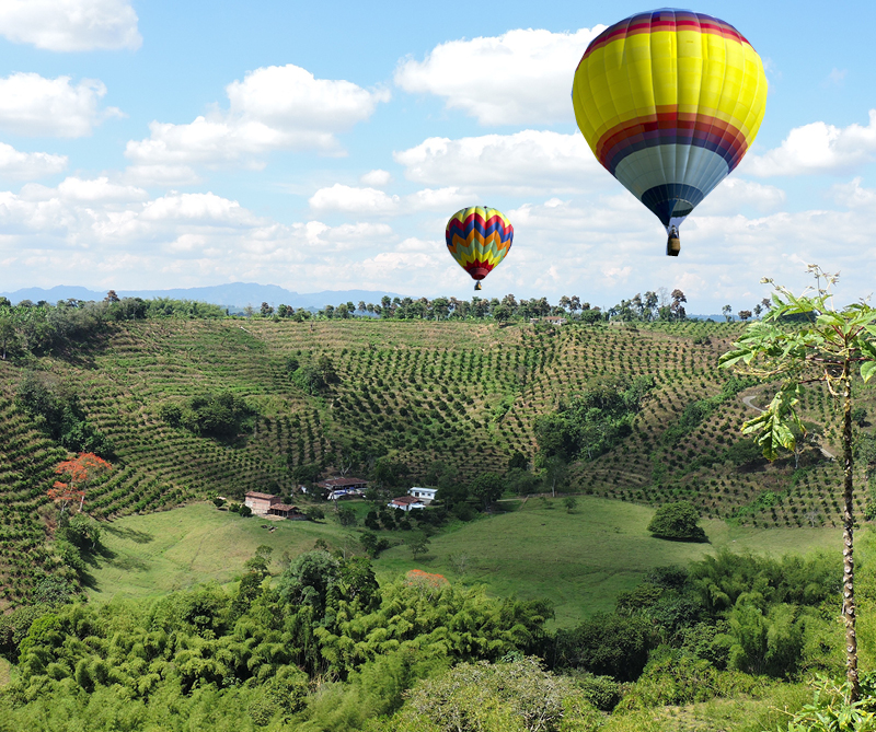 Vea los temas más populares de 2017