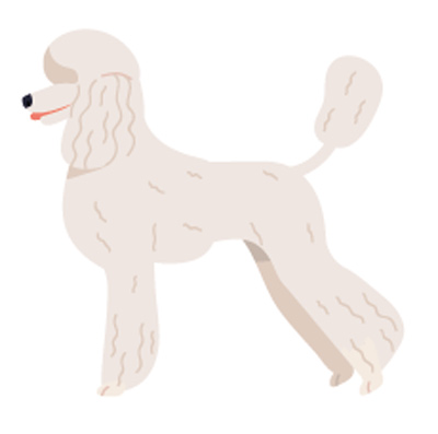 Guía para adoptar perros en colombia Adoptar perros pequeños