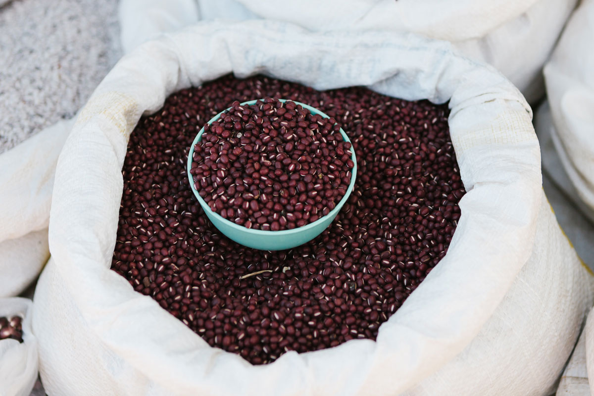 Los carbohidratos pueden ser amigos (y comida), recomendaciones de harvard para consumirlos