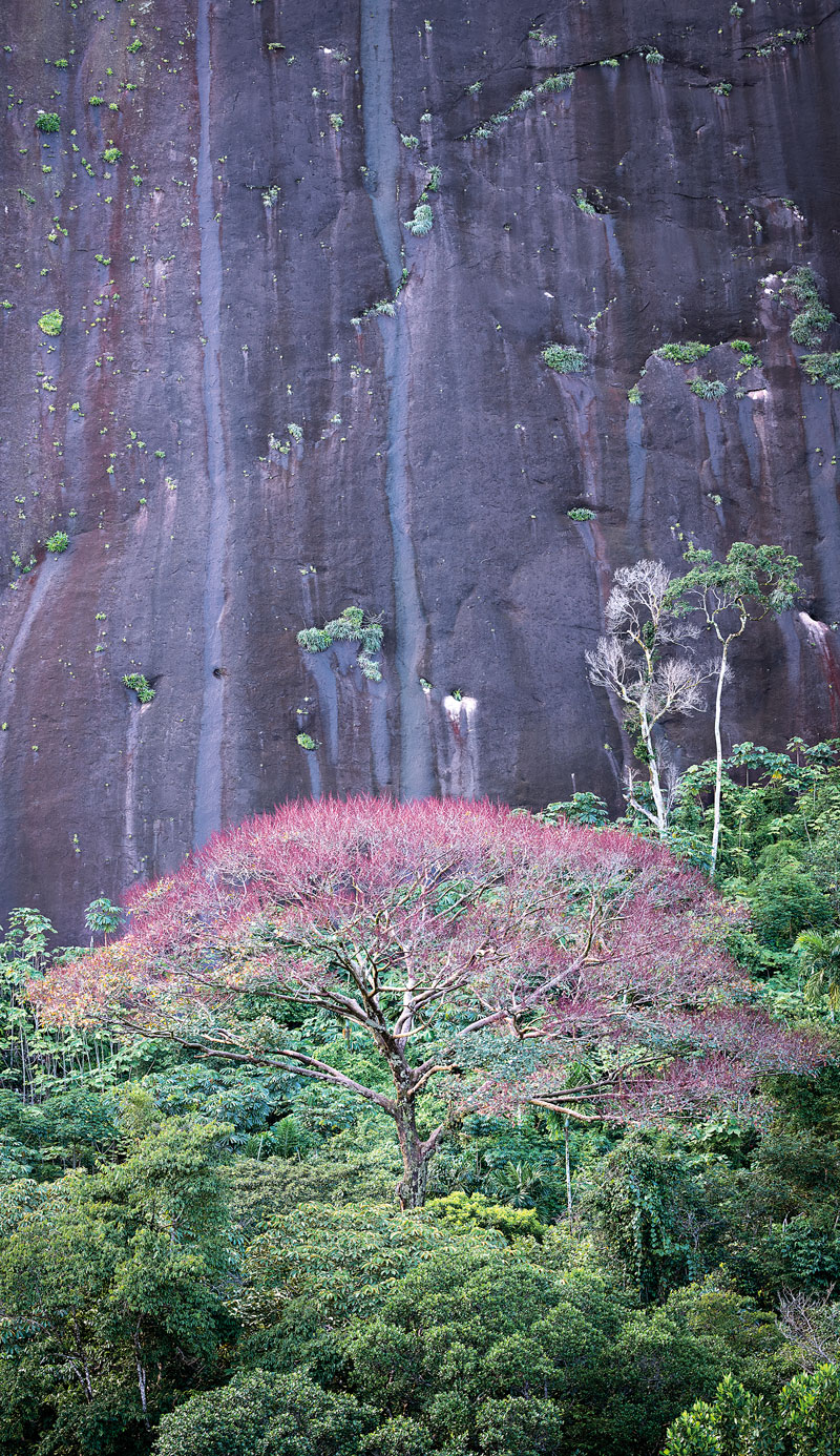 Realismo mágico: los 5 destinos favoritos del fotógrafo ‘gabo’ eisenband en colombia