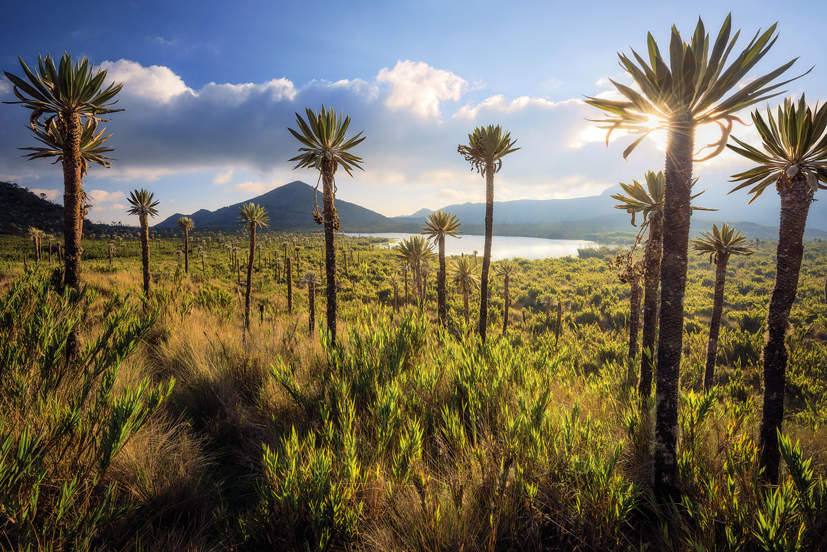 Realismo mágico: los 5 destinos favoritos del fotógrafo ‘gabo’ eisenband en colombia