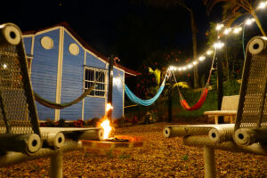 Jaguar exotic coffee, del café de especialidad a viajes de lujo en bogotá